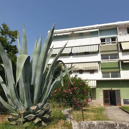 Apartment Maeistro By Privileggio Rovinj