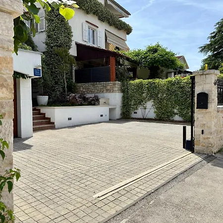 Maeistro By Privileggio